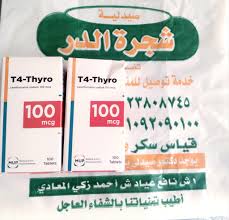 شجرة الدر