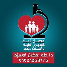 لايت لاب