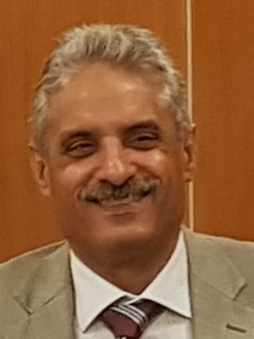 عادل فتحى