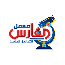 الفارس