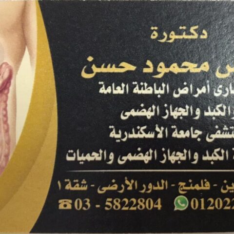 ايناس محمود حسن