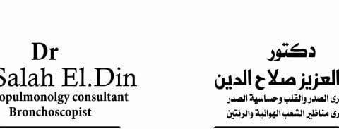 عبد العزيز صلاح الدين