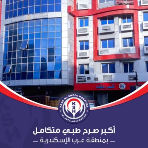 قصر الشفا