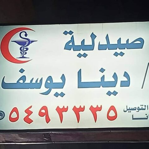دينا يوسف
