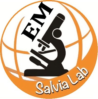 معمل سالفيا