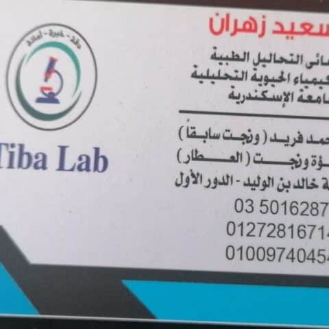 طيبة