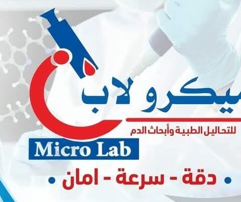 ميكرو لاب