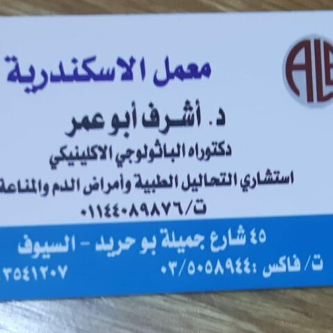اسكندرية