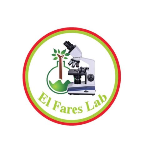 الفارس