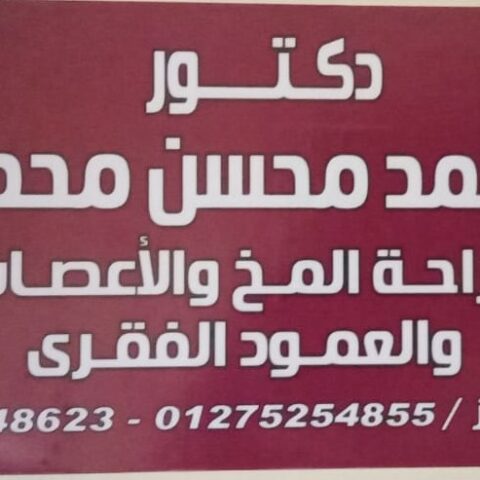محمد محسن محمد