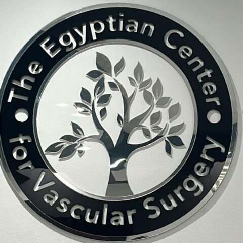 مركز المصرى لجراحة الاوعية الدموية
