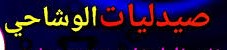 صيدلية الوشاحي