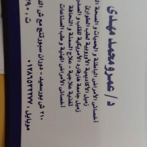 عمرو محمد مهدي