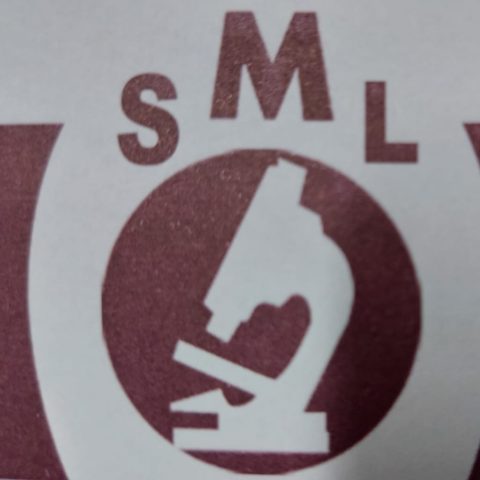 معمل السراي