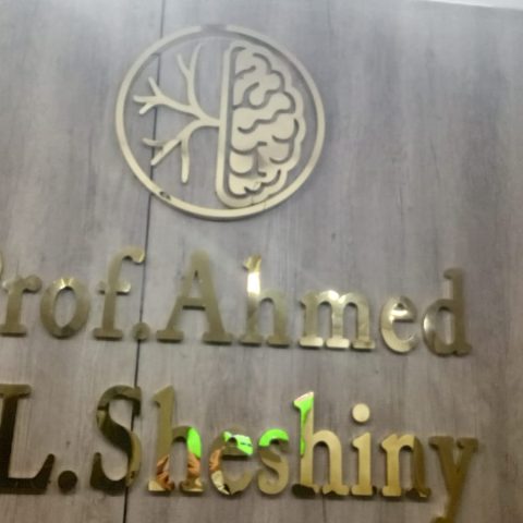 عيادة د / احمد حسن الشيشيني  دكتور المخ و الاعصاب
